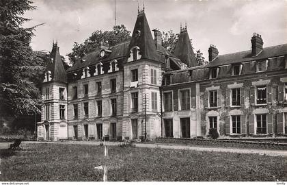 95 Baillet en France CPSM PF le chateau coté piscine