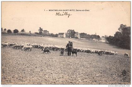 95-MONTMELIAN-SAINT-WITZ- ( PLAILLY)