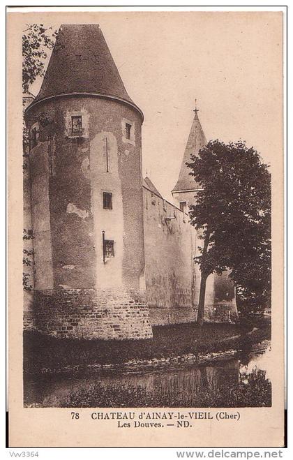 AINAY-le-VIEIL: Château d'Ainay-le-Vieil. Les Douves