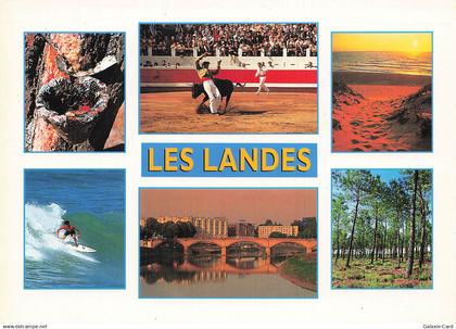 85 AIZENAY LES LANDES