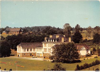 53-AMBRIERES LES VALLEES-N°T207-B/0405