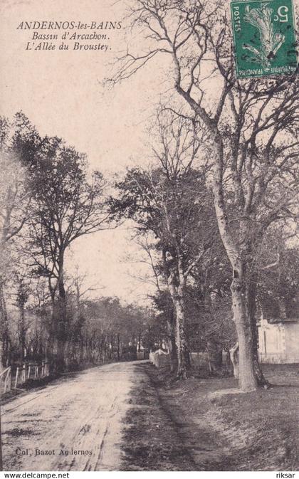 ANDERNOS LES BAINS(ARBRE)