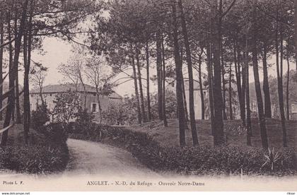 ANGLET(ARBRE)