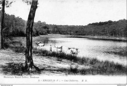 D64 - ANGLET - VUE ANIMEE DU LAC CHIBERTA