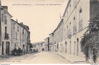 Aniane             34          Avenue de  Montpellier             (Voir scan)