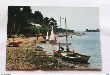 Cpm, Arradon, la plage et l'école de voile, Morbihan 56