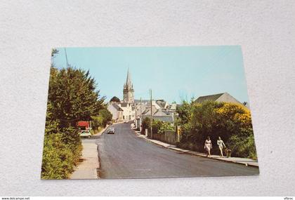 Cpm 1986, Arzon, le bourg, Morbihan