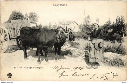 CPA Auvergne - Un Attelage (72851)