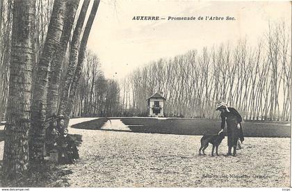 CPA Auxerre Promenade de l'Arbre Sec