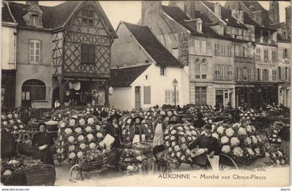 CPA AUXONNE - Marché aux Choux-Fleurs (47442)