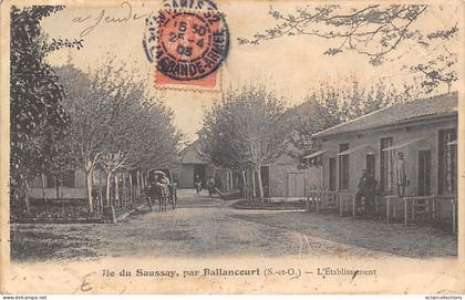 Ballancourt sur Essonne          91       Ile de Saussay . L'Etablissement  - molle -   (voir scan)