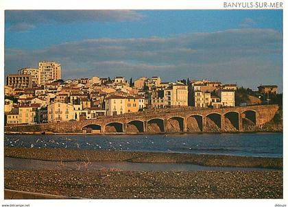 66 - Banyuls sur Mer - Le haut Banyuls - CPM - Voir Scans Recto-Verso