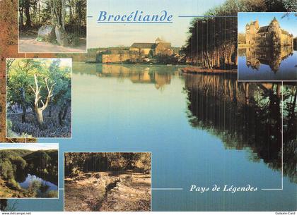 35 BARENTON LA FONTAINE DE BARENTON BROCELIANDE