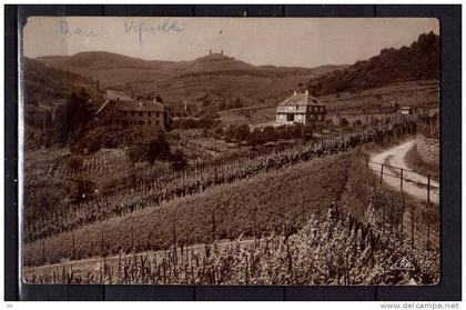 67 - Barr - Hotel Buhl et Chateau d'Andlau - Vignoble