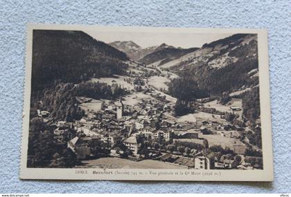 Beaufort, vue générale et le grand Mont, Savoie 73