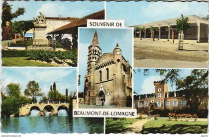 CPA Beaumont de Lomagne souvenir FRANCE (1094887)