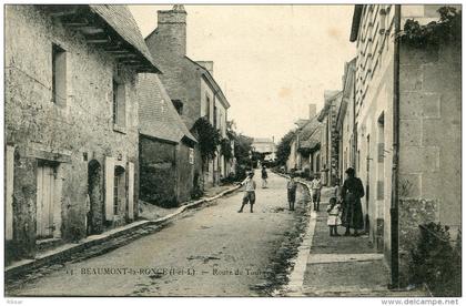 BEAUMONT LA RONCE(INDRE ET LOIRE)