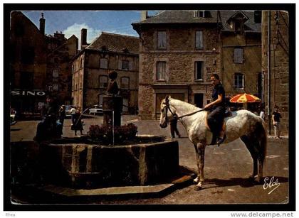 63 Besse-et-Saint-Anastaise fontaine cheval D63D K63038K C63038C RH104569