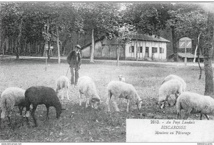 D40 - BISCAROSSE - AU PAYS LANDAIS < MOUTONS AU PATURAGE