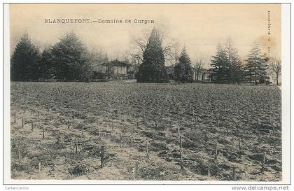 BLANQUEFORT - Domaine de Curgan - vigne - raisin