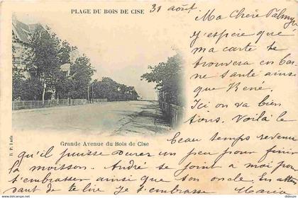 80 - Bois de Cise - Grande Avenue - Précurseur - CPA - Oblitération ronde de 1905 - Voir Scans Recto-Verso