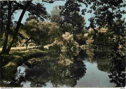 94 - Boissy Saint Léger - Parc du Château du Piple - Etat léger pli visible - CPM - Voir Scans Recto-Verso