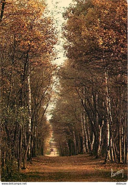 93 - Bondy - Promenade en Forêt de Bondy - CPM - Voir Scans Recto-Verso