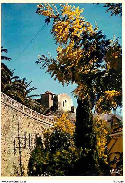 83 - Bormes les Mimosas - Carte Neuve - CPM - Voir Scans Recto-Verso