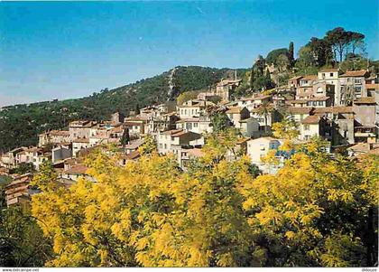 83 - Bormes les Mimosas - Carte Neuve - CPM - Voir Scans Recto-Verso