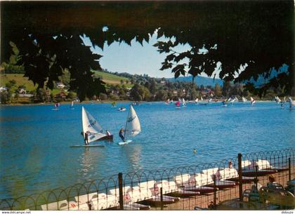 38 - Paladru Charavines - Le Lac de Paladru Charavines - Planche à Voile - CPM - Carte Neuve - Voir Scans Recto-Verso