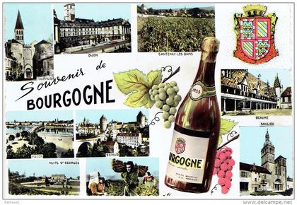 CPSM FRANCE 00 REGIONS BOURGOGNE - Souvenir de Bourgogne - Multivues - 1964