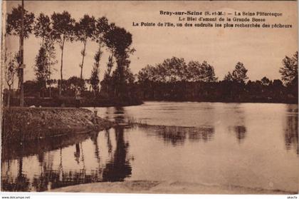CPA BRAY-sur-SEINE - La SEINE Pitt. (120329)