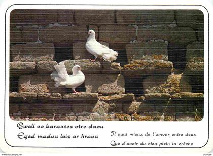 Régions - Bretagne - Sagesse de Bretagne - Colombes - CPM - Voir Scans Recto-Verso