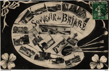 CPA BRIARE - Scenes - Souvenir de BRIARE (632320)