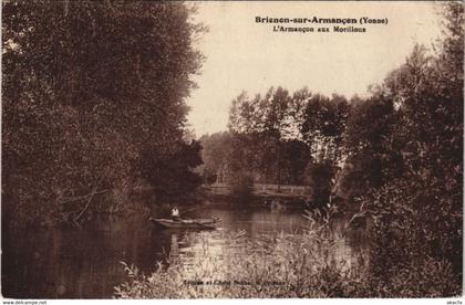 CPA BRIENON-sur-ARMANCON L'Armancon aux Morillons (1197897)
