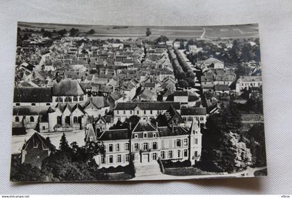 Cpsm 1953, Brienon sur Armançon, vue aérienne sur le château, Yonne 89