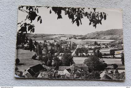 Cpm 1959, Brinon sur Beuvron, vue générale, Nièvre 58