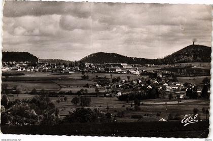 CPA BRUYERES-Panorama sur CHAMP-le-DUC et BRUYERES (184900)