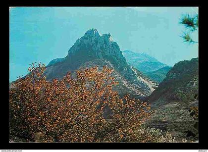 26 - Buis les Baronnies - Rocher Saint Julien - CPM - Voir Scans Recto-Verso