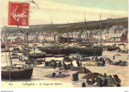 Carte POSTALE  Ancienne  de CANCALE / Triage des huitres