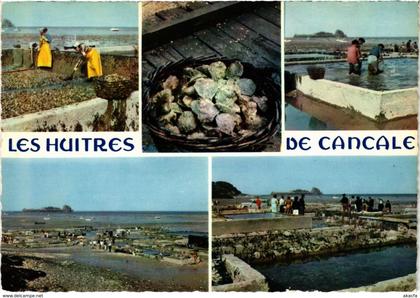 CPM Cancale- souvenir FRANCE (1022576)