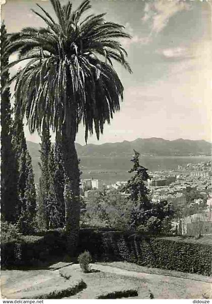 06 - Cannes - Vue prise de la Colline du Super-Cannes - CPM - Voir Scans Recto-Verso