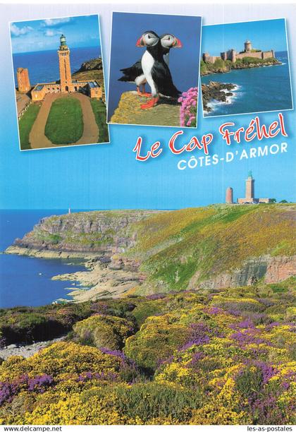 22 CAP FREHEL LE CAP FREHEL