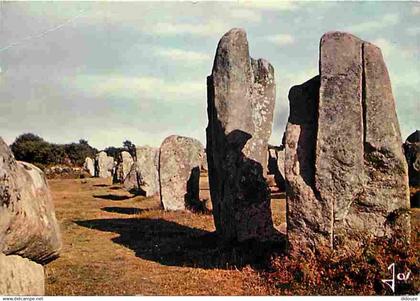 56 - Carnac - Alignements mégalithiques à Erdeven près de Carnac - Menhirs - CPM - Voir Scans Recto-Verso