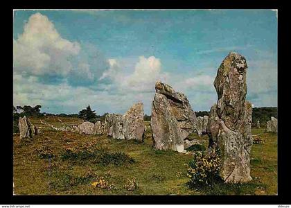 56 - Carnac - Alignements mégalithiques de la Région de Carnac - Menhirs - CPM - Voir Scans Recto-Verso