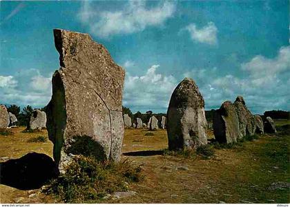 56 - Carnac - Mégalithes de la région de Carnac - Carte Neuve - CPM - Voir Scans Recto-Verso