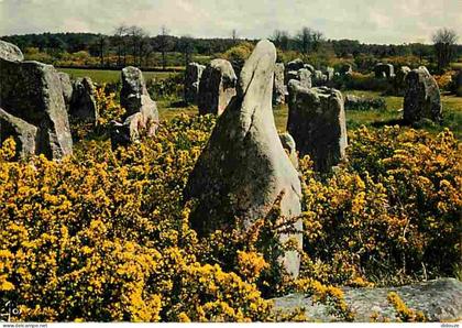 56 - Carnac - Monuments mégalithiques près de Carnac - Carte Neuve - CPM - Voir Scans Recto-Verso