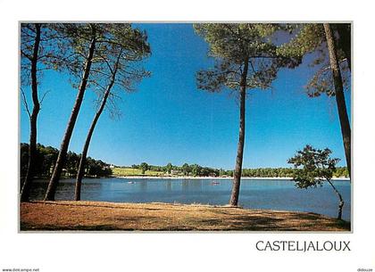 47 - Casteljaloux - Le lac - CPM - Voir Scans Recto-Verso