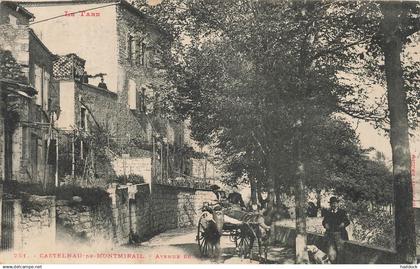 CASTELNAU DE MONTMIRAIL - AVENUE DE GAILLAC