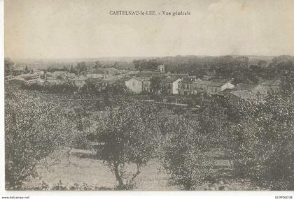 Castelnau le Lez Vue Générale